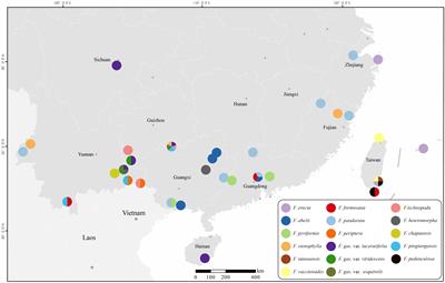 Hybridization, polyploidization, and morphological convergence make dozens of taxa into one chaotic genetic pool: a phylogenomic case of the Ficus erecta species complex (Moraceae)